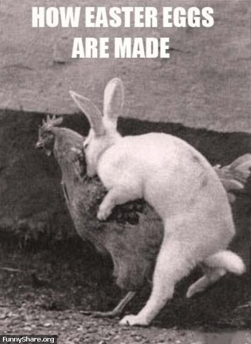 how easter eggs are made