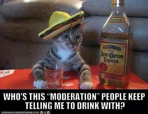 drink with moderation