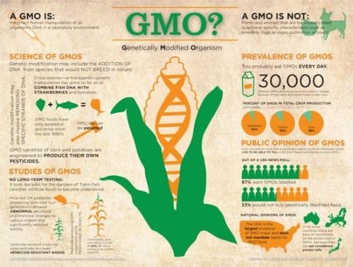 GMO Fact sheet_small
