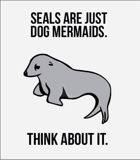 dog mermaids