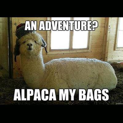 alpaca my bags
